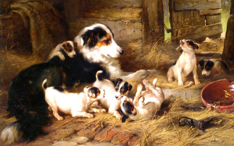 Mother Dog with Puppies — Brown