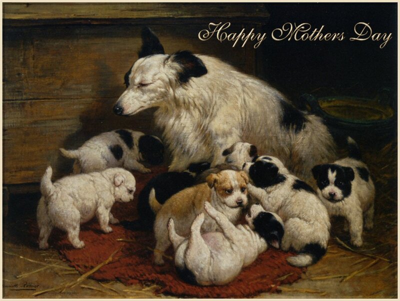 Mother Dog with Puppies — White