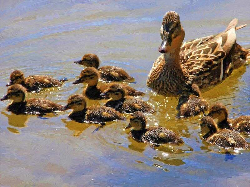 Mother Duck with Ducklings — Brown, Serene