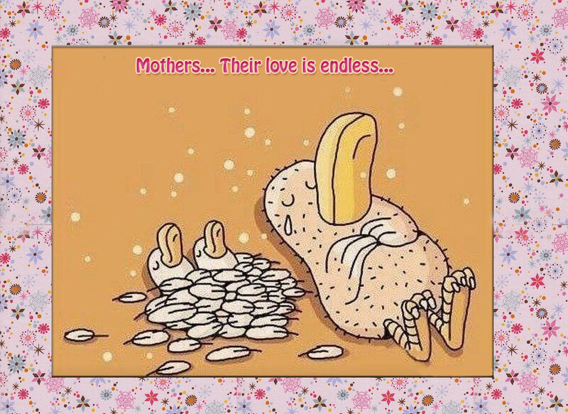 Mother Duck with Ducklings — Brown, Tender