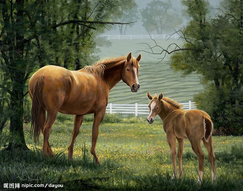 Mother Horse and Foal — Brown, Serene, Morning