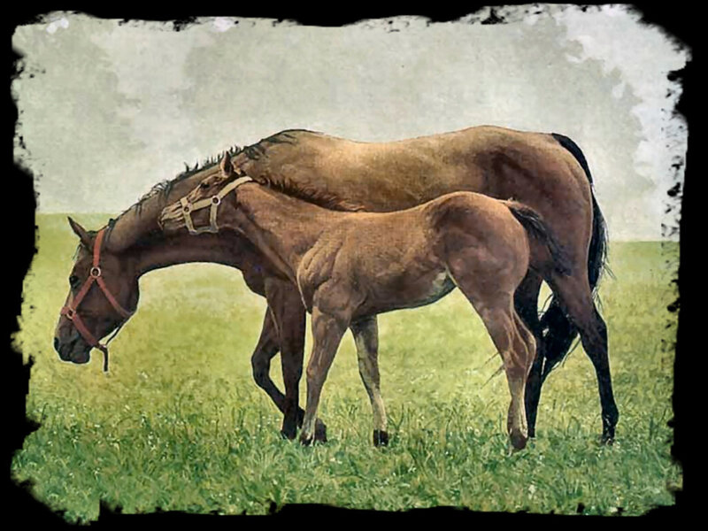 Mother Horse and Foal — Brown