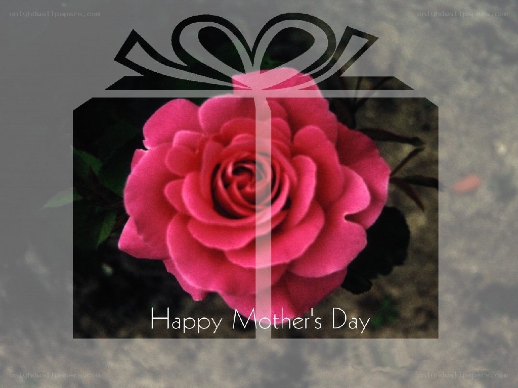 Mother's Day rose gift