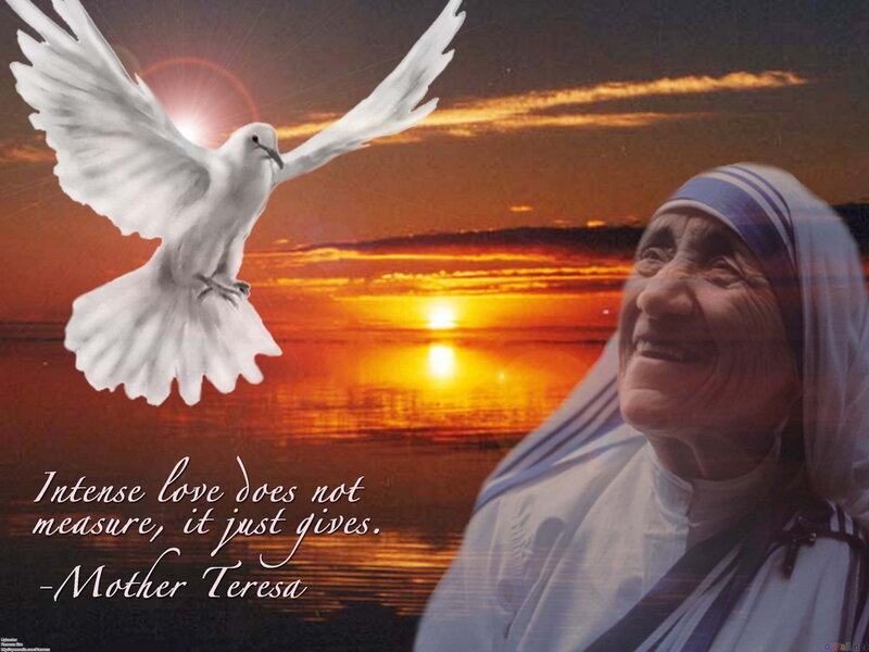Mother Teresa Portrait — Orange, Serene