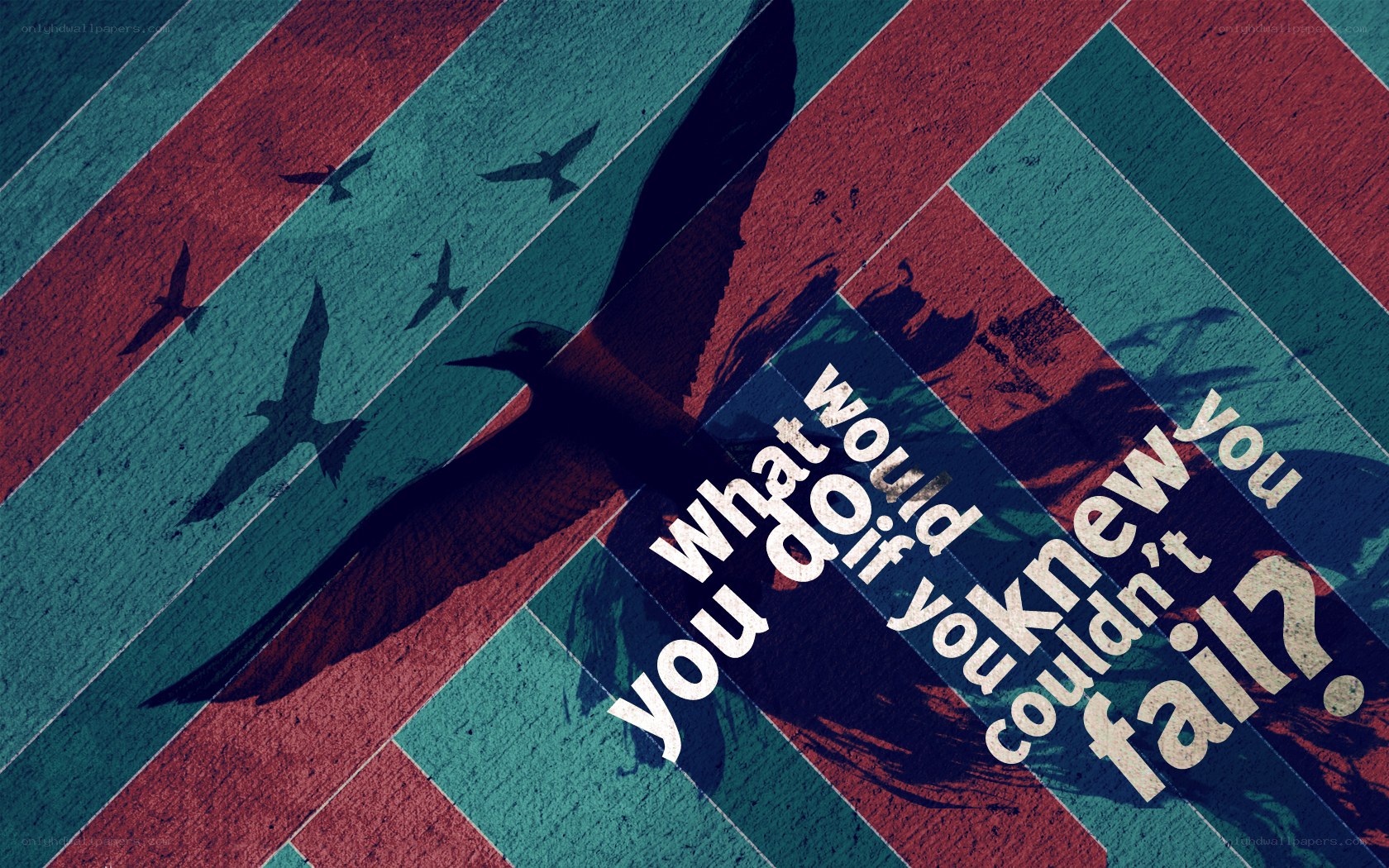 Motivational birds wallpaper