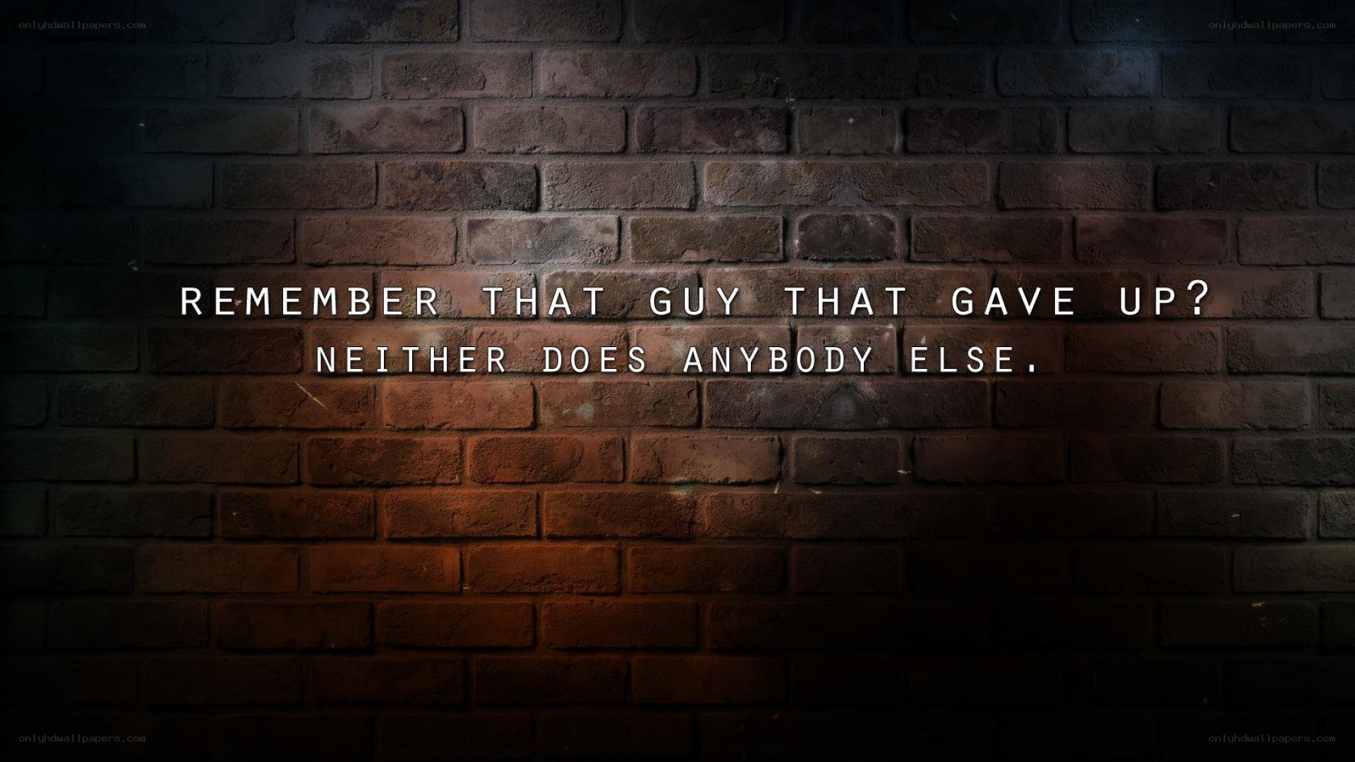 Motivational quote on brick wall