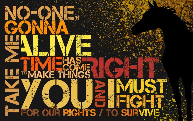Motivational quote with horse silhouette