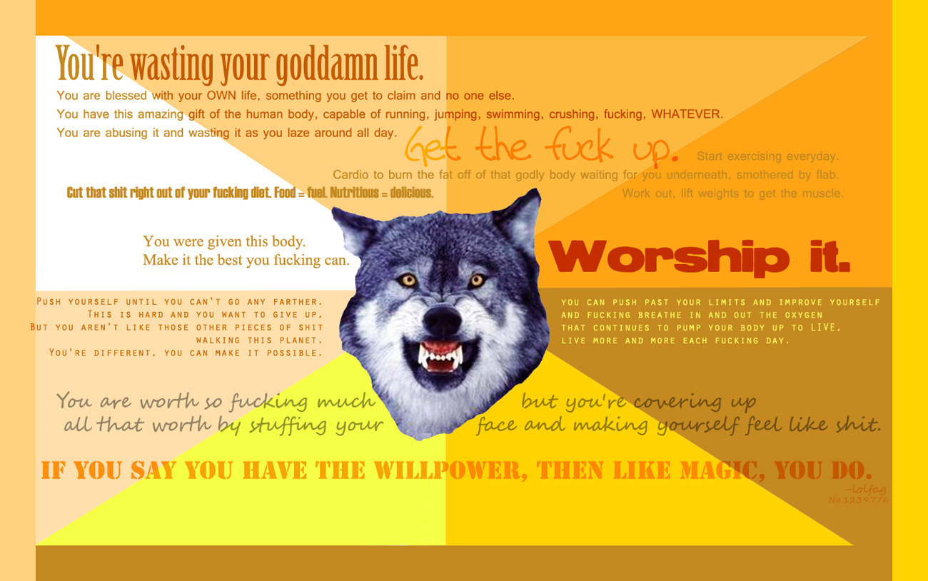 motivational wolf poster
