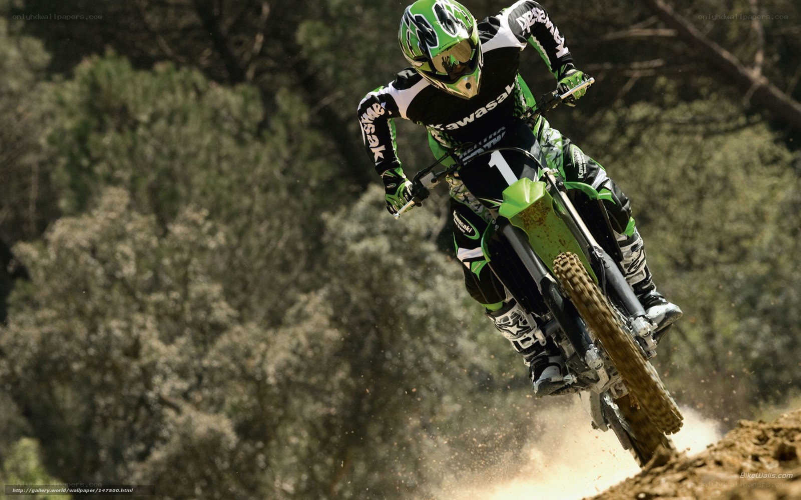 Motocross rider in action