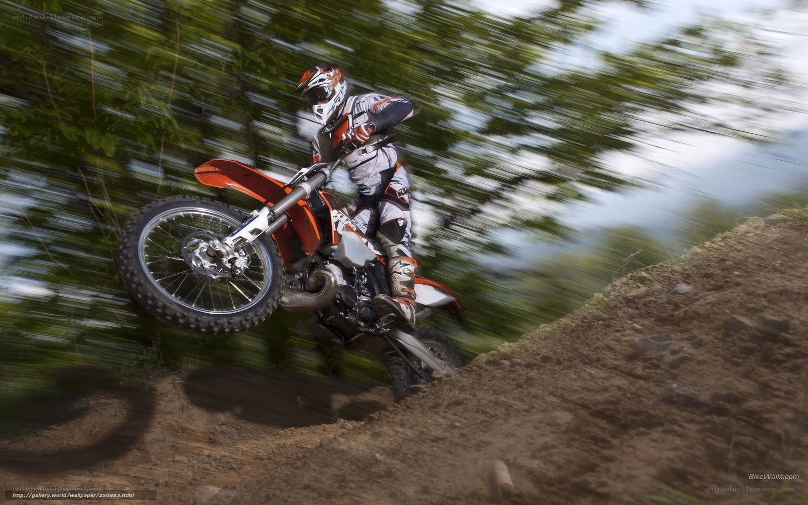 Motocross rider in action