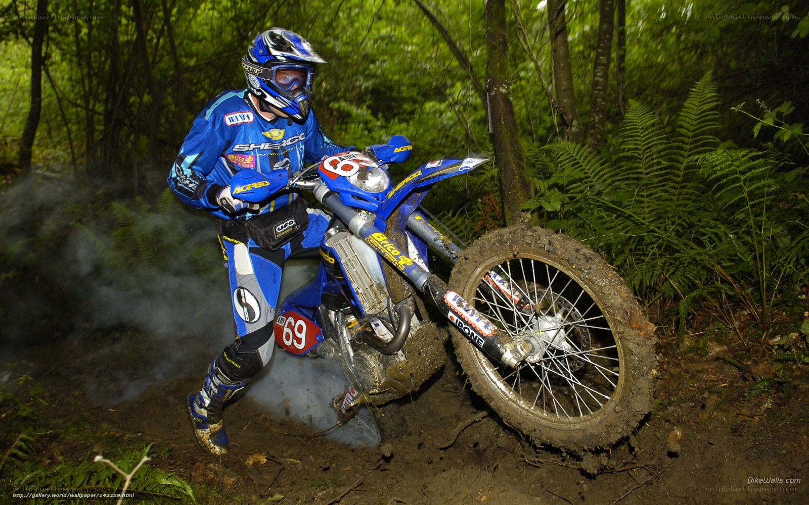 Motocross rider in forest