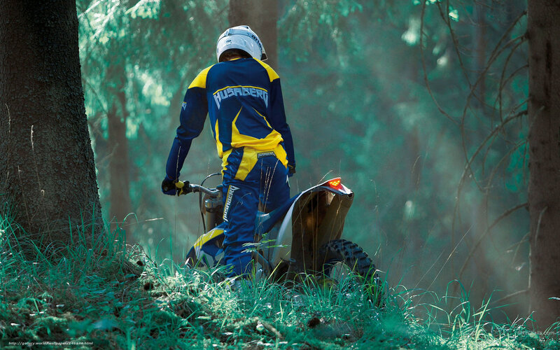 Motocross Rider in Forest — Blue, Serene