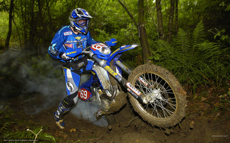Motocross Rider in Forest — Blue