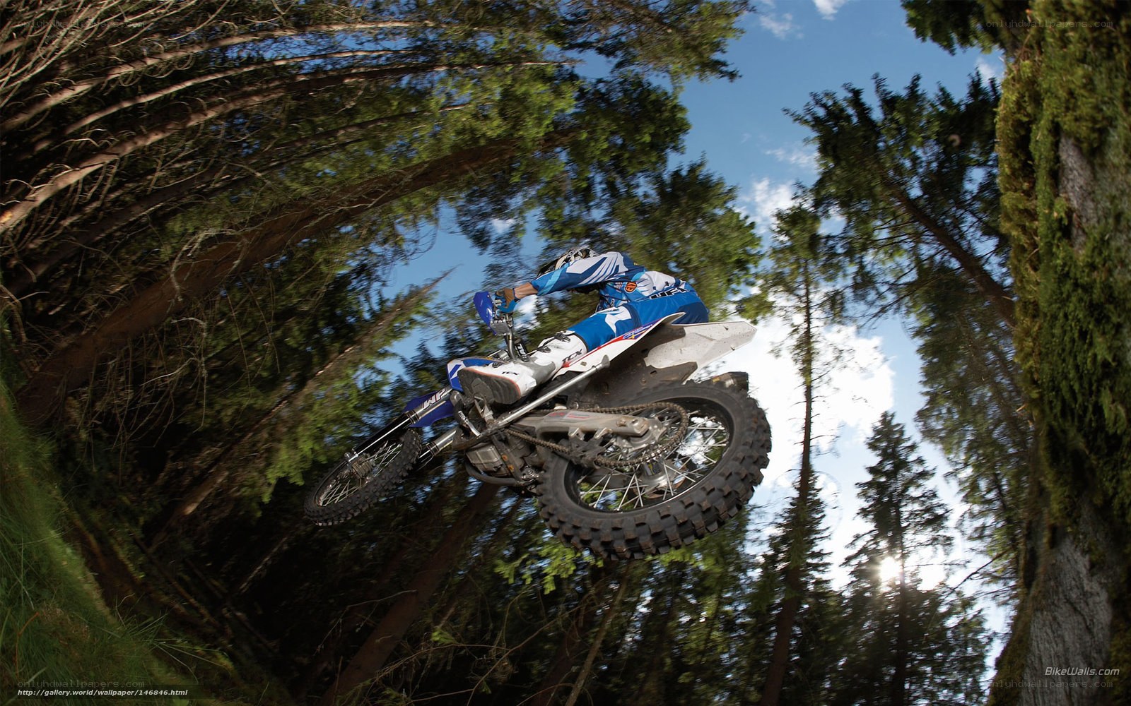Motocross rider in forest jump