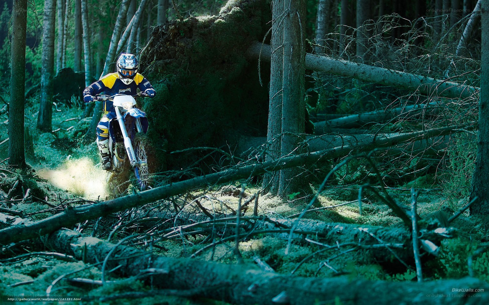 Motocross rider in forest