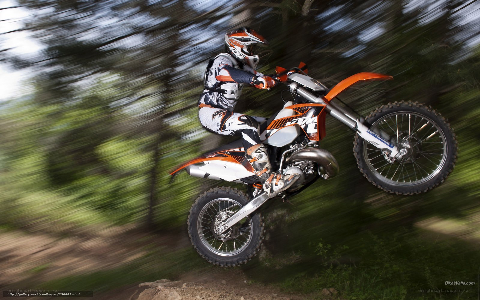 Motocross rider in mid-air