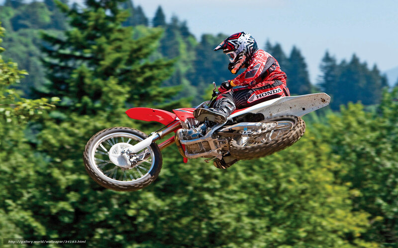 Motocross Rider in Mid-air — Green, Dynamic, Afternoon, Photograph, Motorcycle, Helmet, Trees