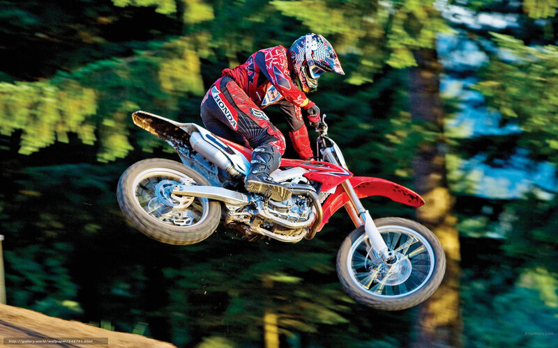 Motocross Rider in Mid-air — Red, Dynamic, Afternoon, Photograph, Motorcycle, Helmet, Forest