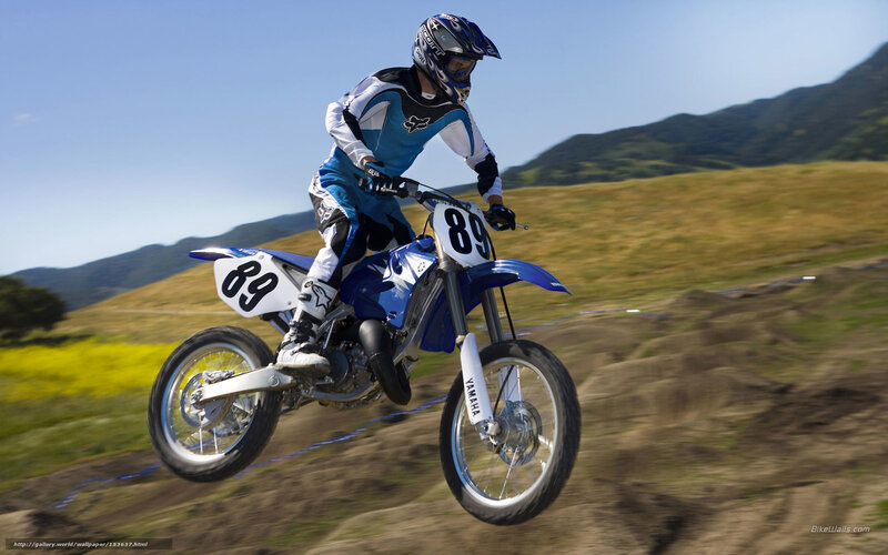 Motocross Rider on Bike — Blue, Dynamic