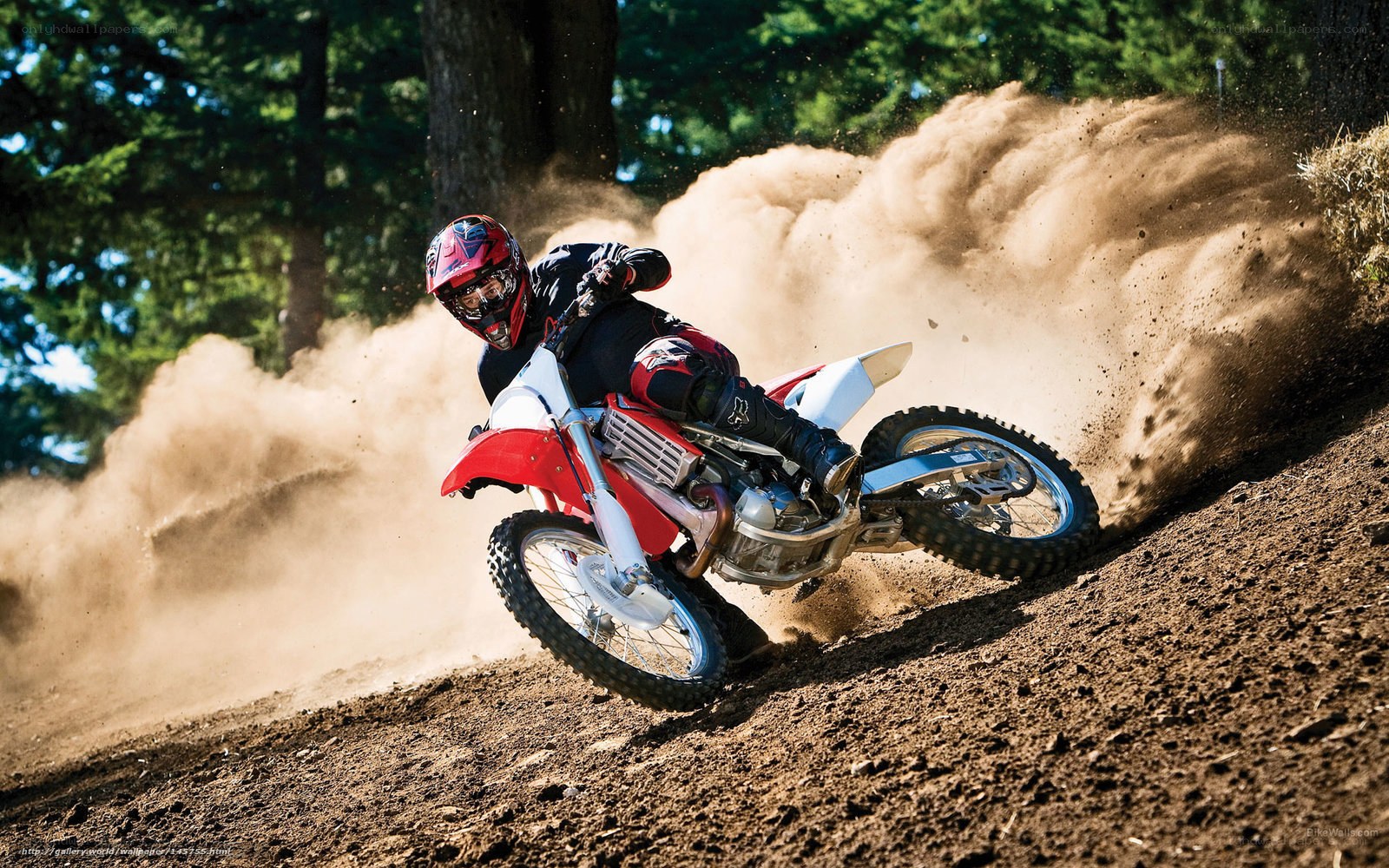 Motocross rider on dirt track