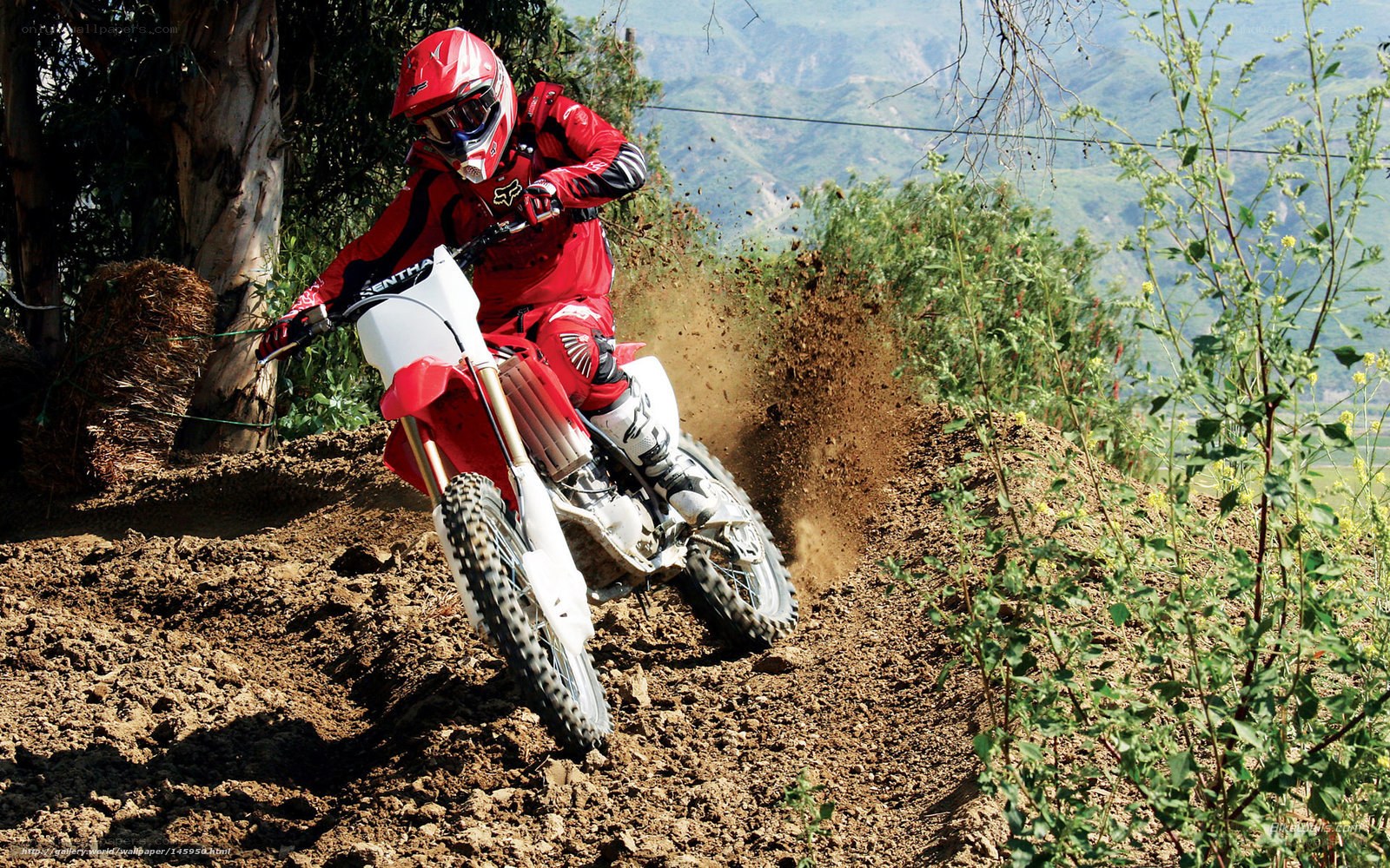 Motocross rider on dirt track