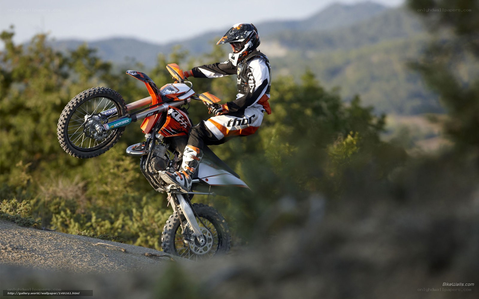Motocross rider performing wheelie