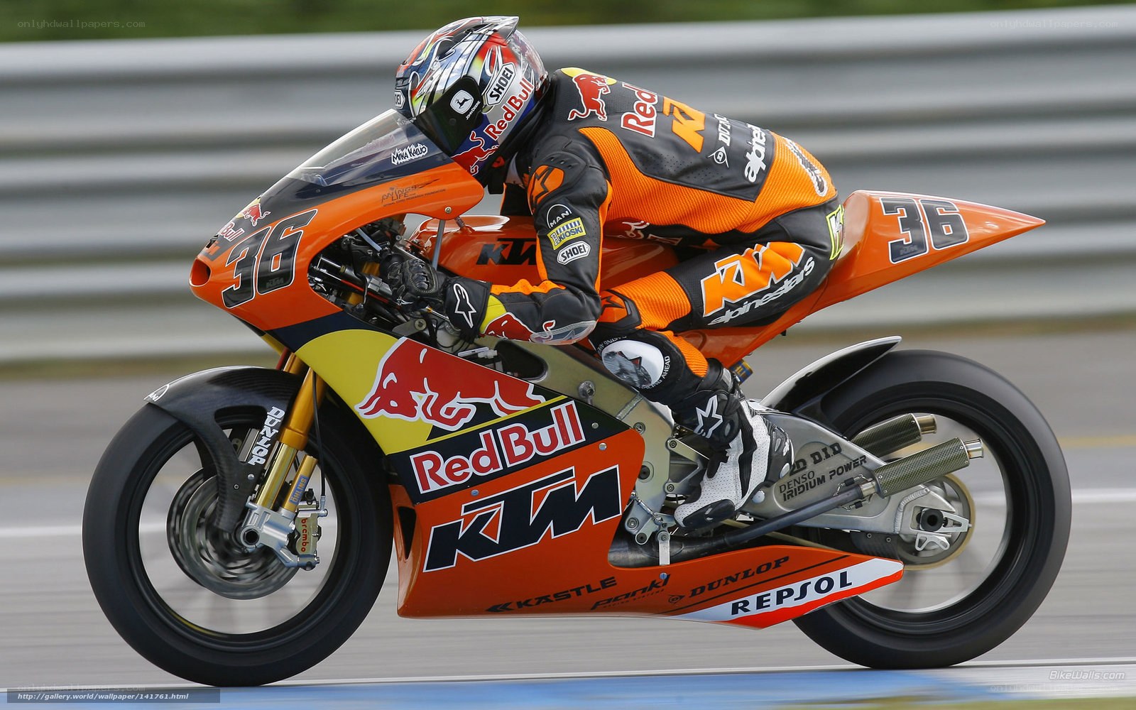 MotoGP rider on KTM bike