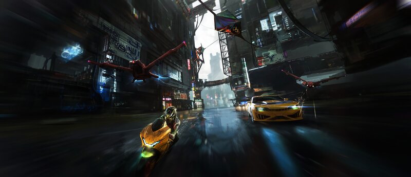 Motorcycle and Car Race