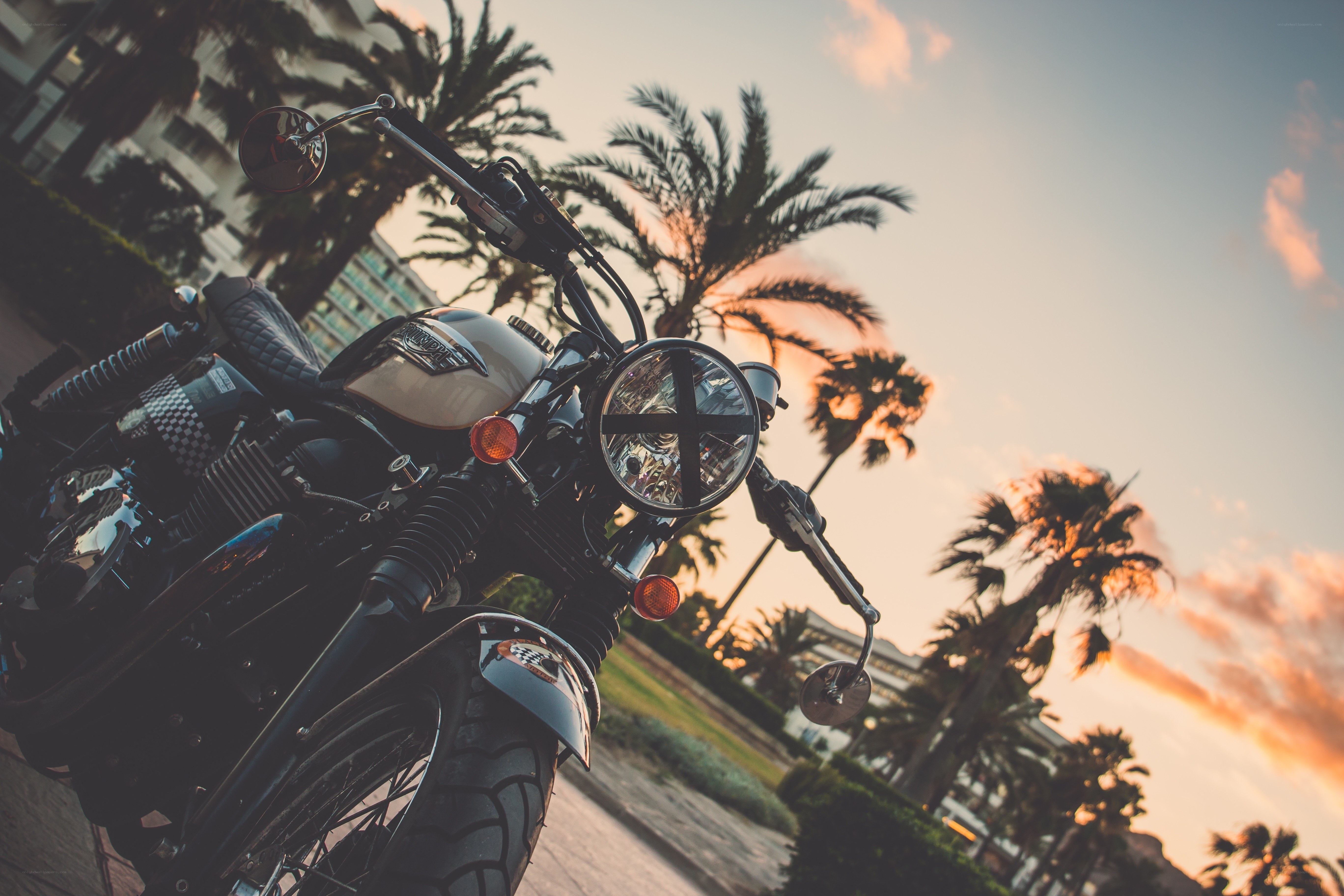 motorcycle at sunset with palm trees