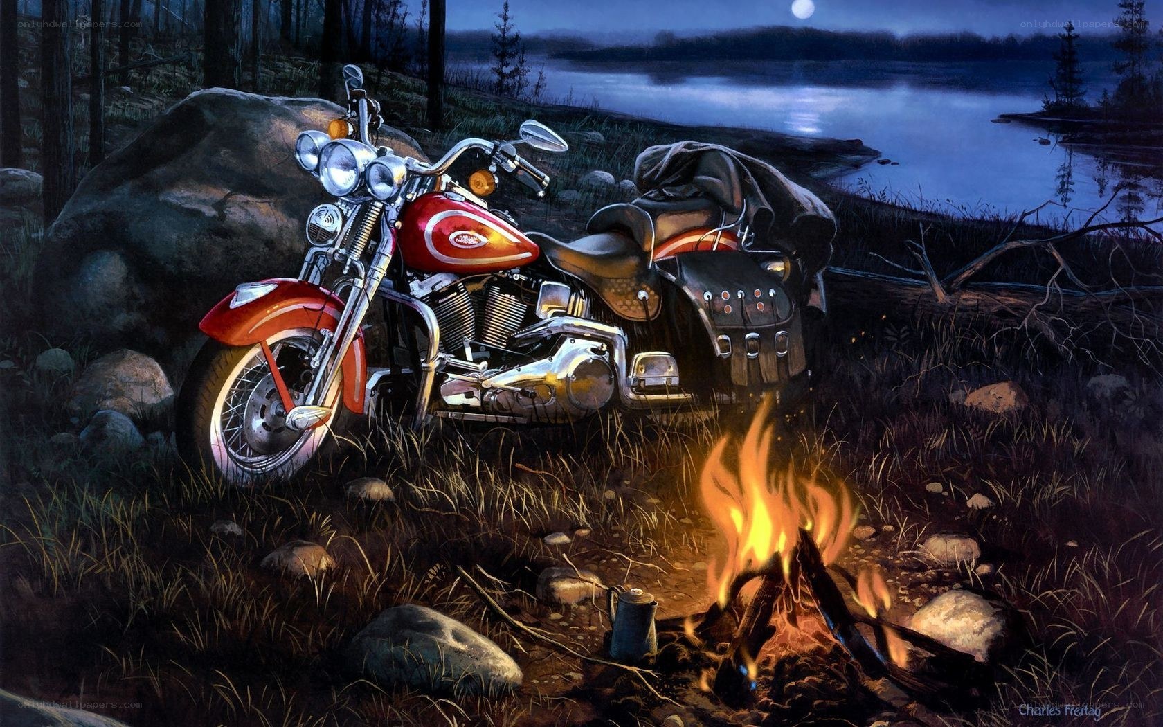 Motorcycle by campfire at night