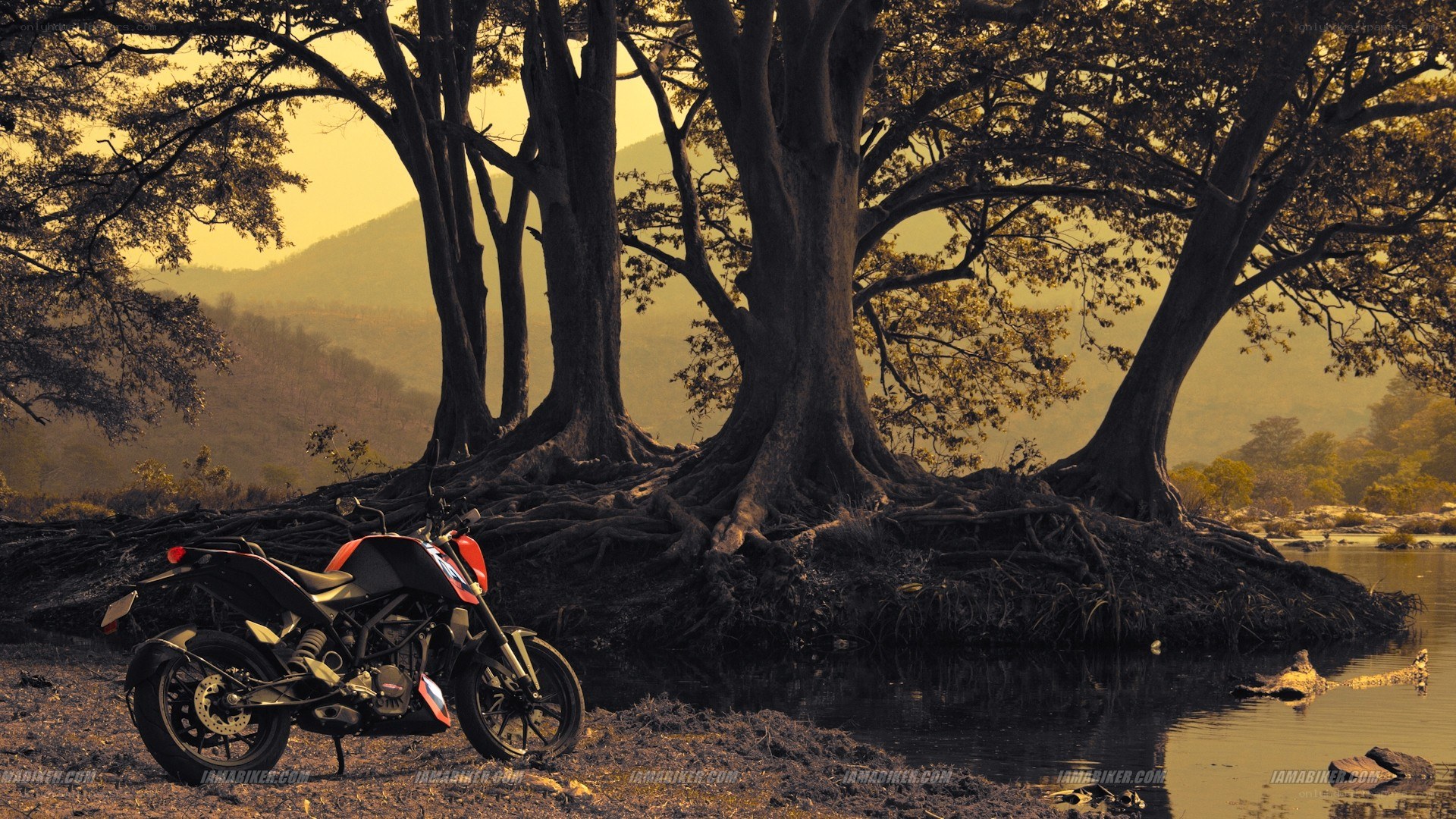 motorcycle by river at sunset