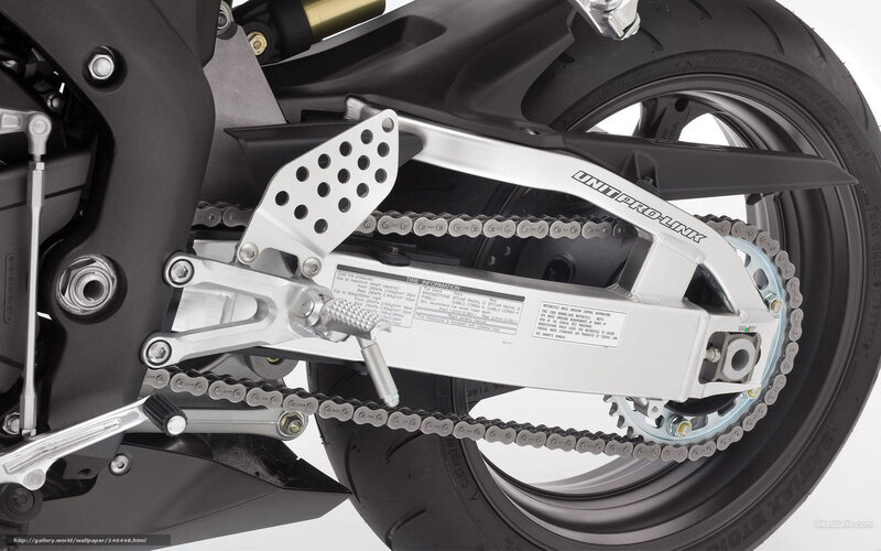 motorcycle chain and swingarm