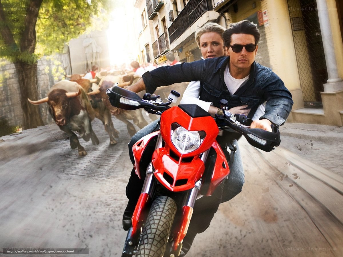 Motorcycle chase with bulls