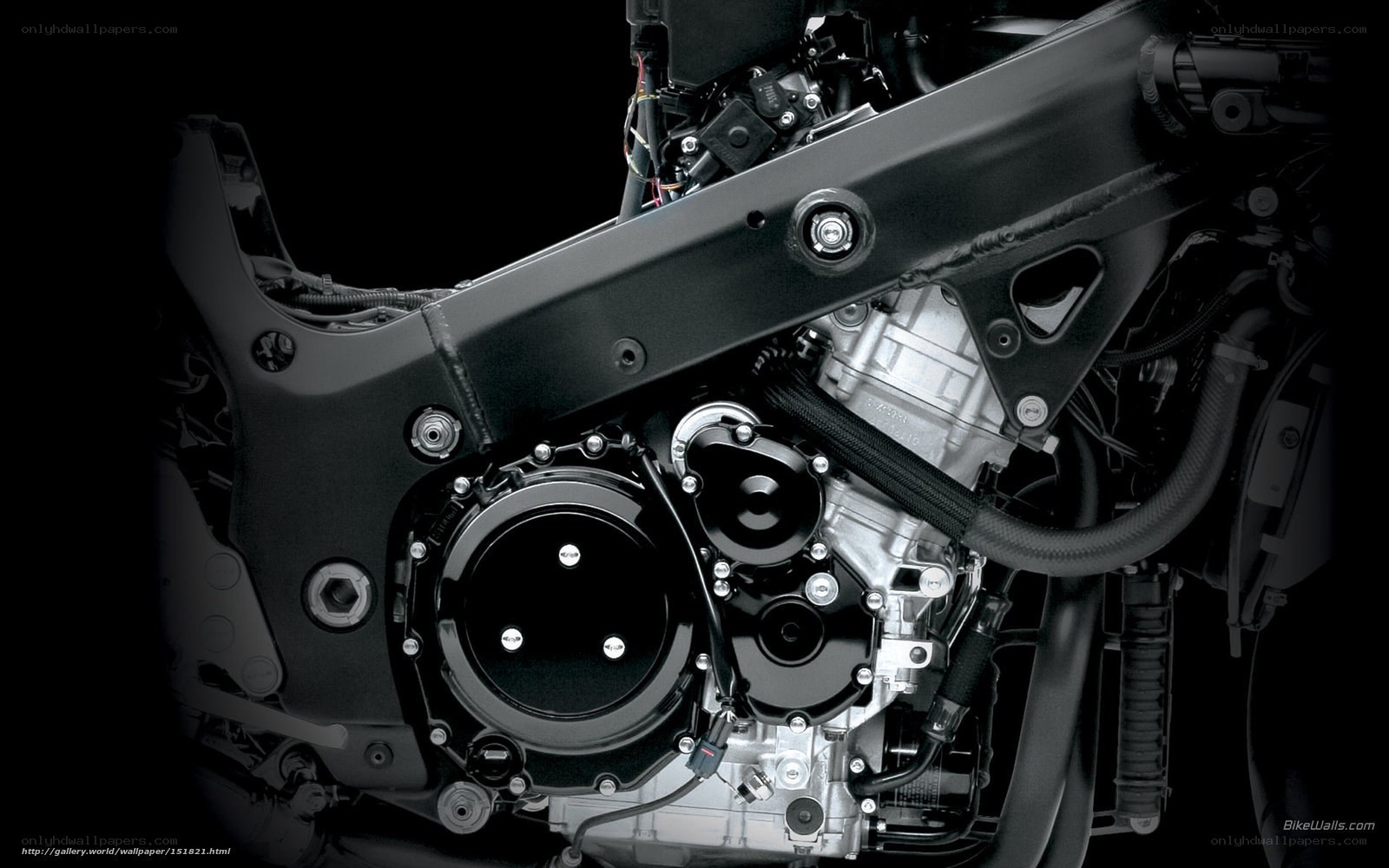 motorcycle engine close-up