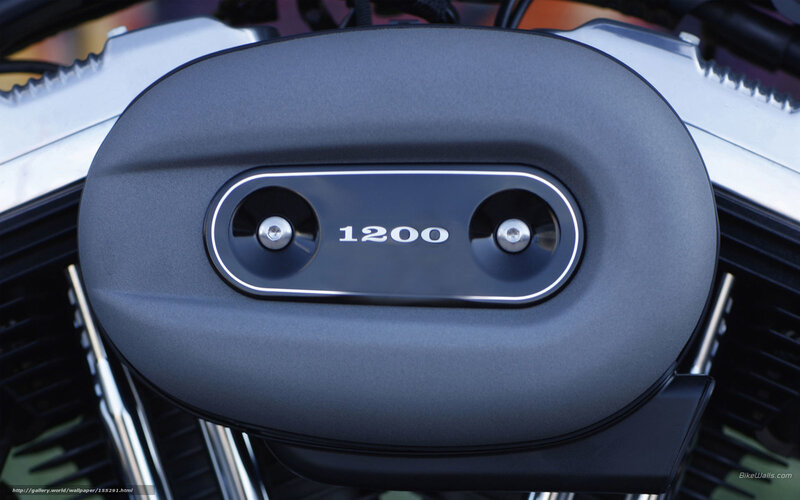 Motorcycle Engine Cover — Black
