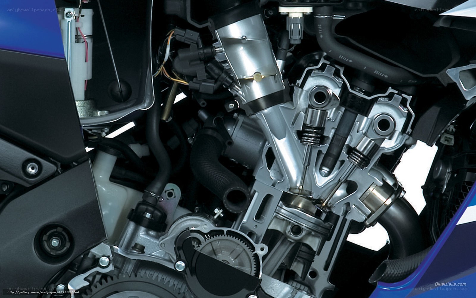 motorcycle engine cutaway view