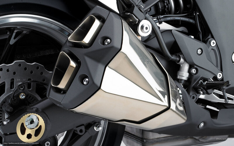 Motorcycle Exhaust System — Black, Mechanical