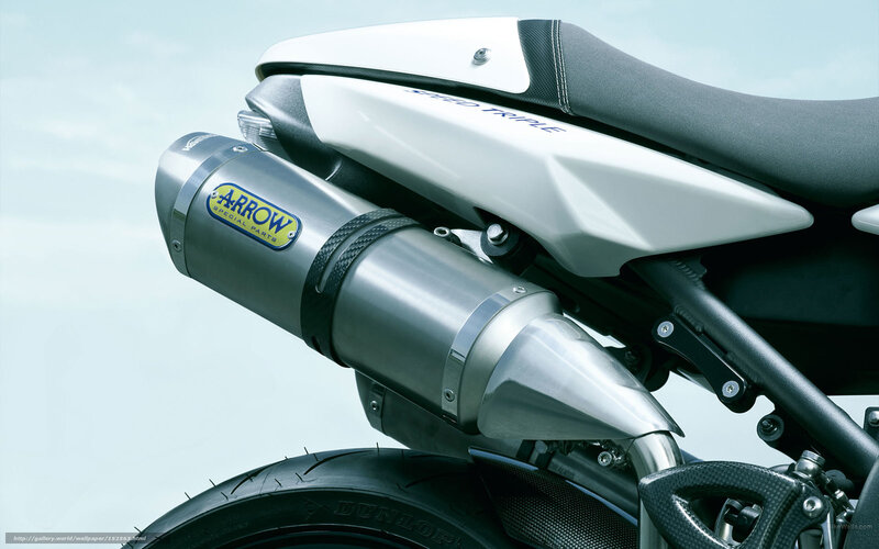 Motorcycle Exhaust System — White, Neutral