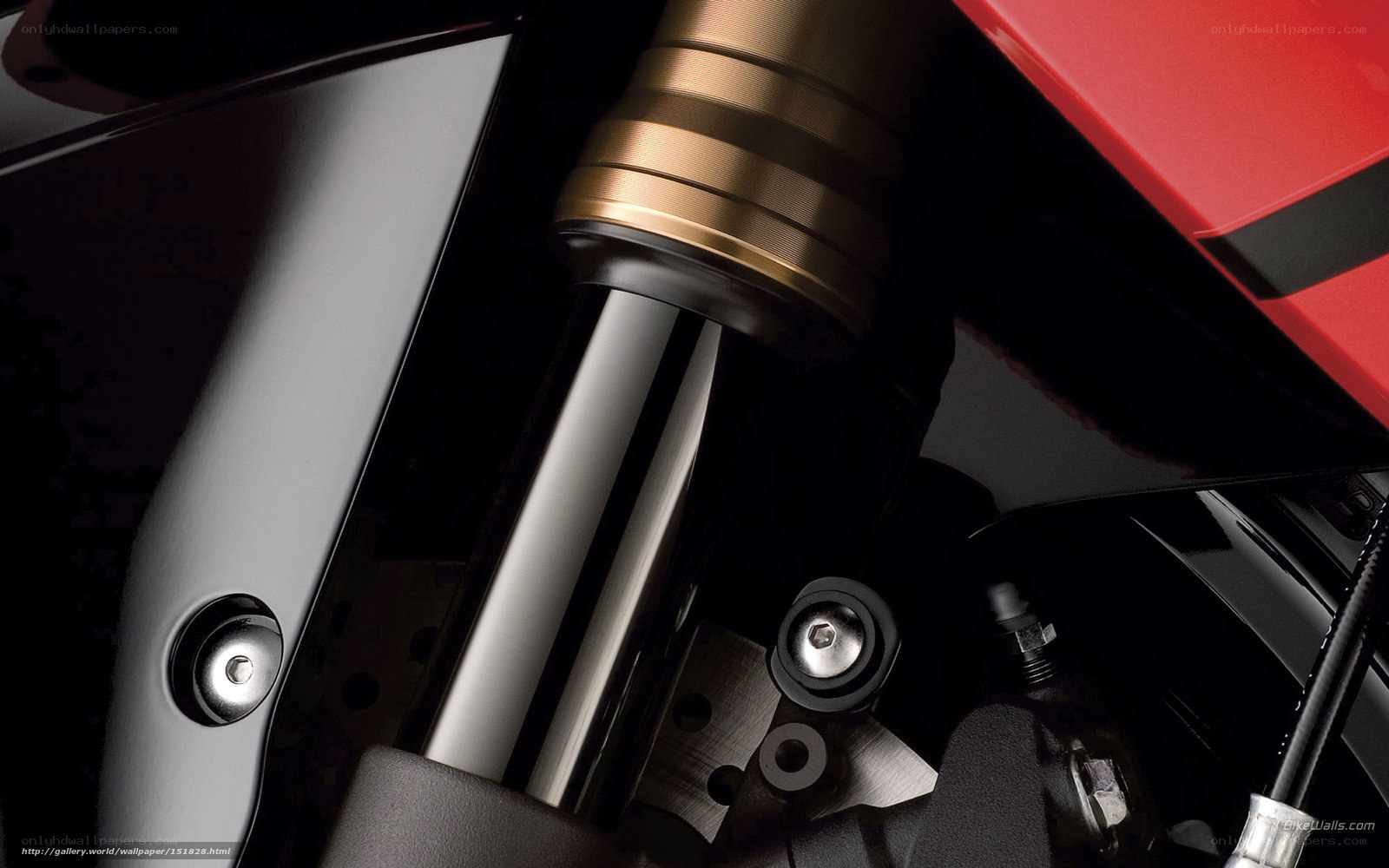motorcycle front suspension detail