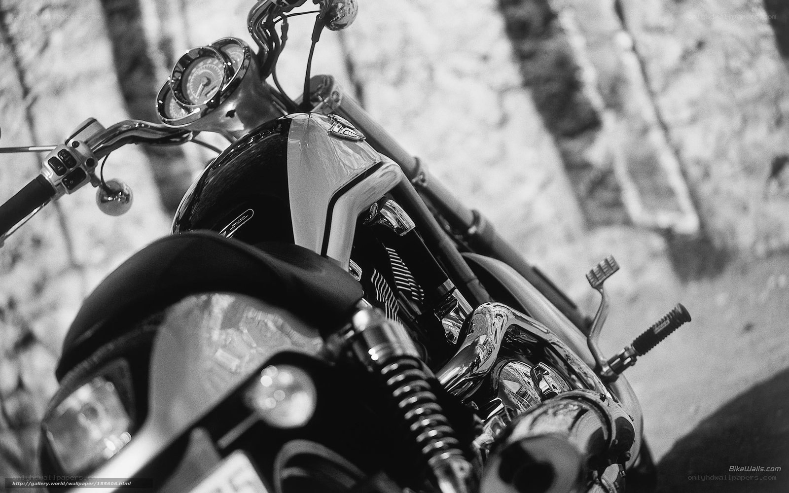 motorcycle front view close-up