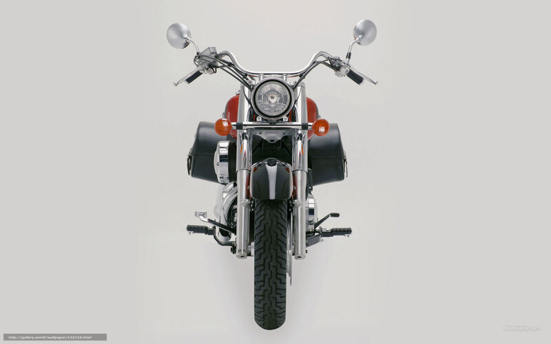 Motorcycle Front View — Gray, Neutral, Photograph, Headlight, Saddlebags