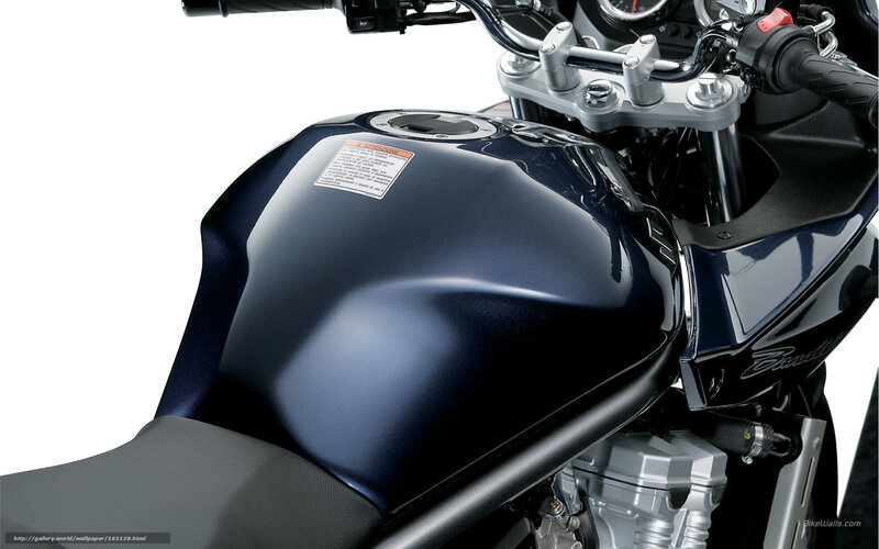 Motorcycle Fuel Tank — Blue