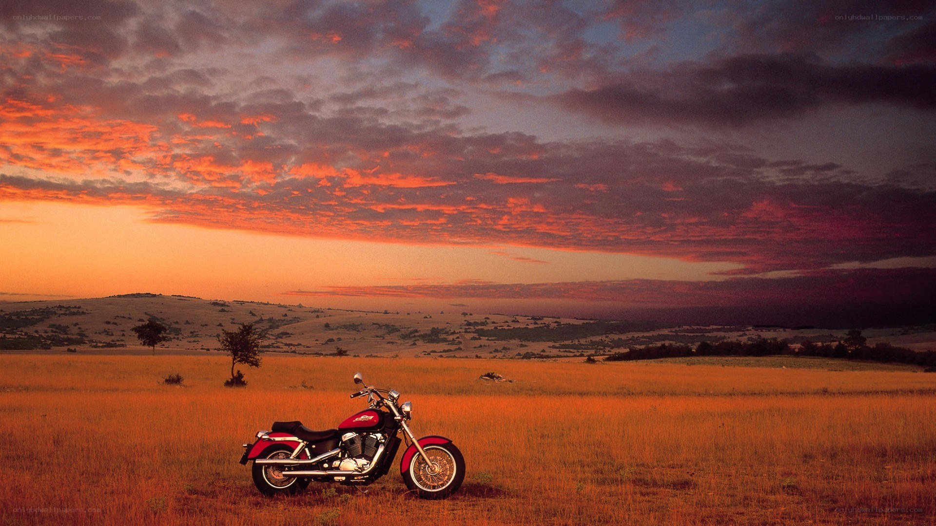 Motorcycle in a field at sunset
