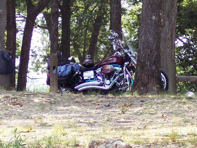 Motorcycle in Forest