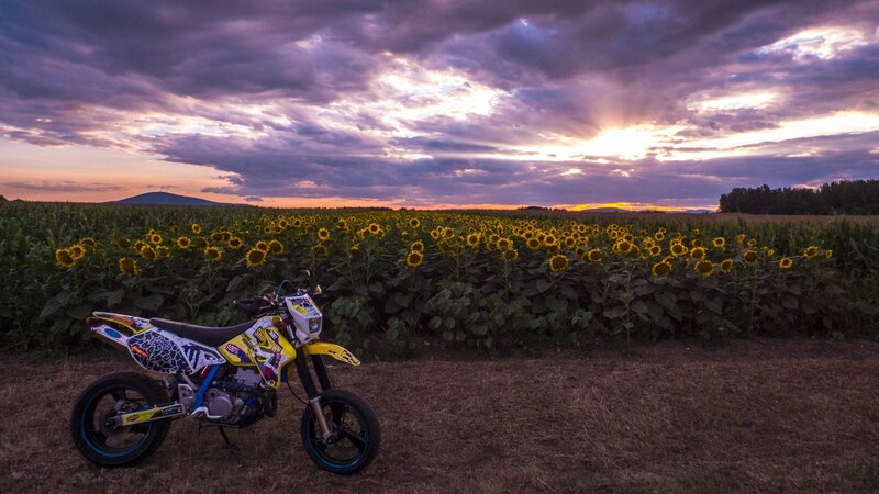 Motorcycle in Sunflower Field