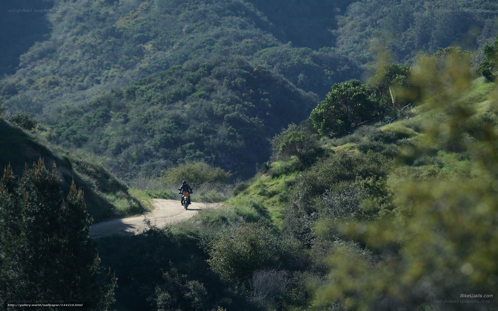 Motorcycle on a dirt trail