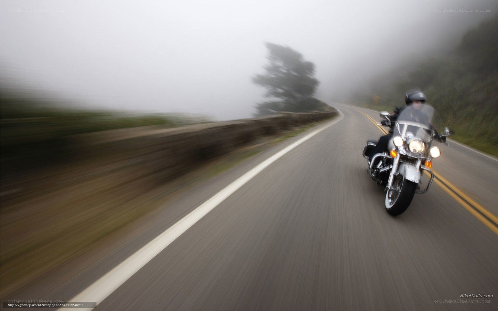 Motorcycle on a foggy road
