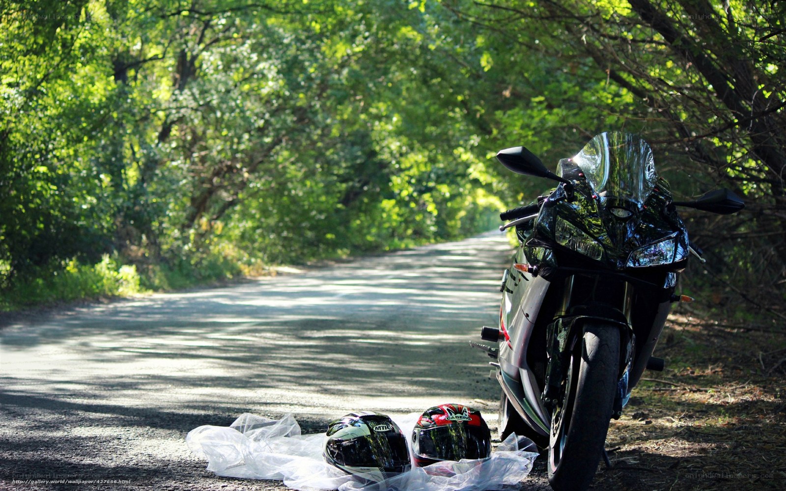 Motorcycle on a forest road