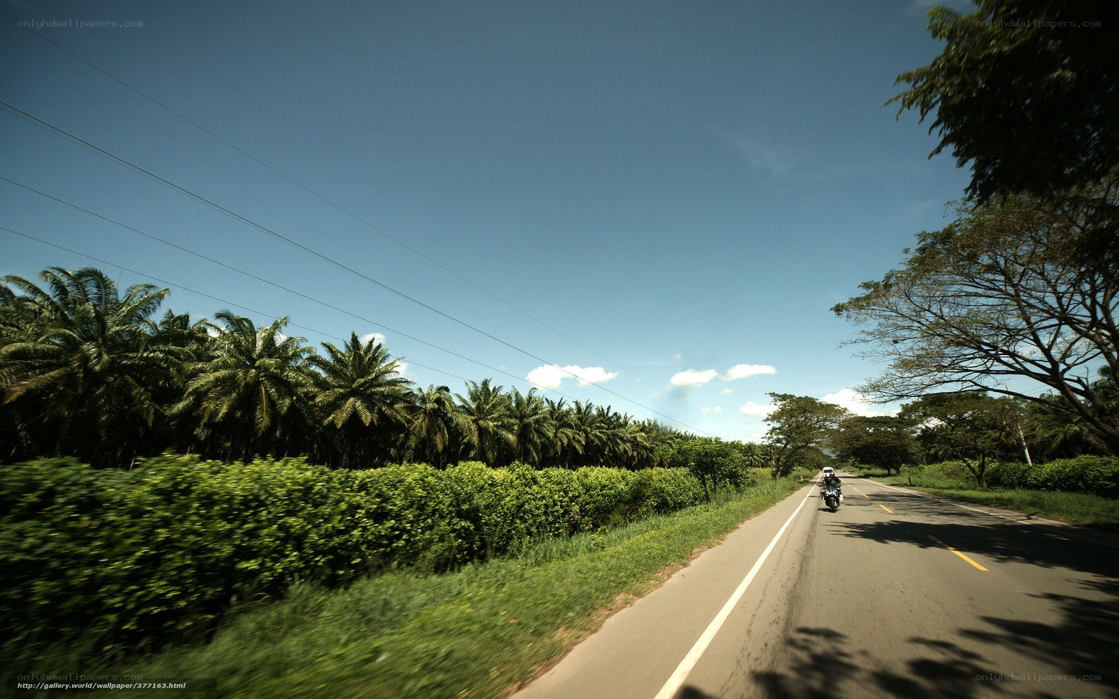 Motorcycle on a tropical road