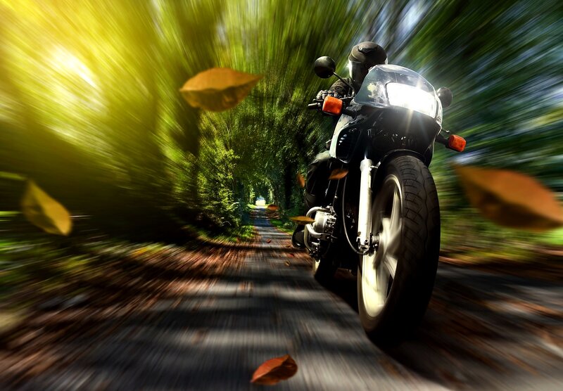 Motorcycle on Forest Road — Green, Dynamic